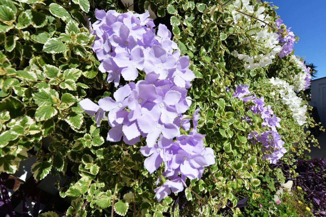 Apartment Lavender 维尔 外观 照片