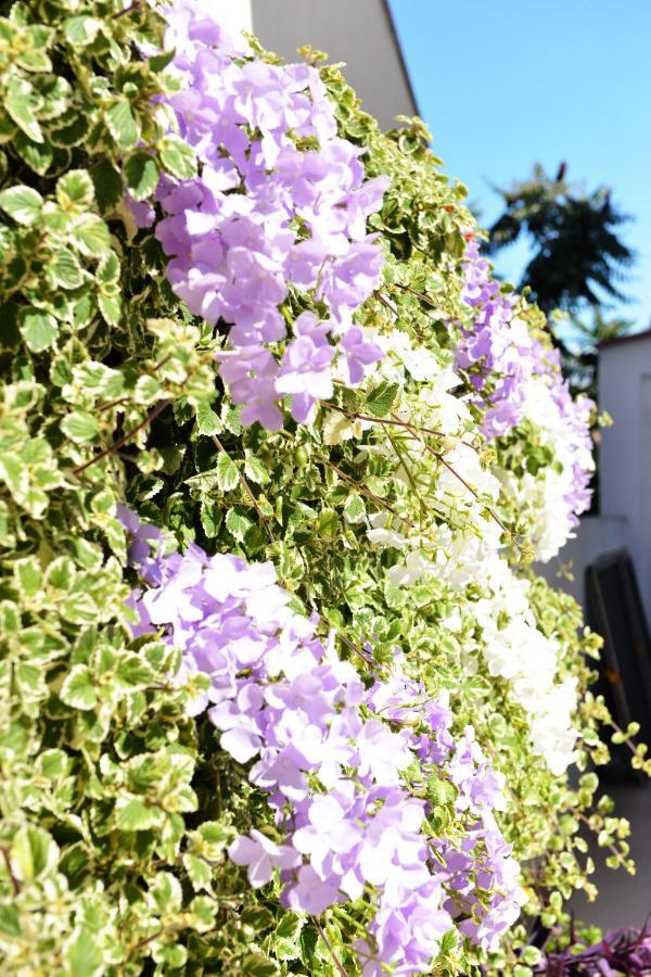 Apartment Lavender 维尔 外观 照片